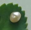 Natural Saltwater Pteria Pearl 3+ ct