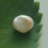 Natural Saltwater Pteria Pearl 3+ ct