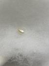 Natural Saltwater Wild Baroque 9mm Pearl 