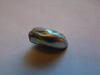 Natural USA Abalone Pearl 7 carats
