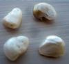 Natural USA Freshwater Pearls - Group of 4
