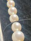Natural Wild Graduated Saltwater pearl strand... in the trash?