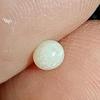 Nearly Half Carat Clam Pearl for Sale Egg Shape