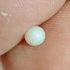 Nearly Half Carat Clam Pearl for Sale Egg Shape