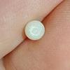 Nearly Half Carat Clam Pearl for Sale Egg Shape