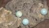 Fossilized Pearls from Wyoming