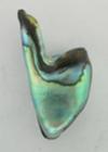 Partially polished abalone pearl