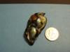 North California Abalone Pearl