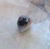 One Blue Mussel Pearl 1 carat 6mm 2 Toned