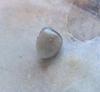 One Blue Mussel Pearl 1 carat 6mm 2 Toned