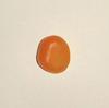 Orange Clam Pearl 5.25 ct for Sale
