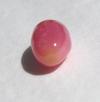 Oval Dark Pink Conch Pearl Oval 1.90 carat Full Flame
