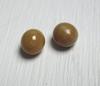 Pair Conch Pearls Brown Near Round