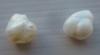 Pair of Natural USA Freshwater Pearls