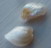 Pair of Natural USA Freshwater Pearls