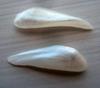 Pair Wing Natural USA Pearls 14mm