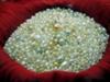 Natural Persian Gulf Pearls (photo by Kari)