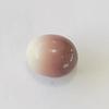 Perfect Oval TriColor Quahog Pearl 1+ carat 7mm