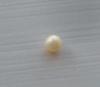 Perfectly Round Golden Natural USA Freshwater Pearl