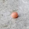 Pink Conch Pearl 2 + ct