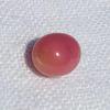 Pink Conch Pearl 4.95 carats Oval