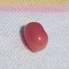 Pink Conch Pearl 4.95 carats Oval
