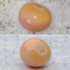 Pink Conch Pearl ~ 8 ct