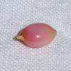Pink conch Pearl Oval 5.62 carats