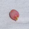 Pink conch Pearl Oval 5.62 carats