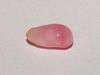 Pink Conch Pearl Oval 6mm