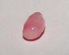 Pink Conch Pearl Oval 6mm