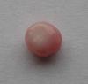 Pink Flat Bottomed Conch Pearl