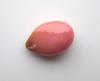 Pink Flat Drop Pink Conch Pearl 5.45 carats