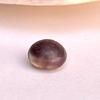 Purple Quahog Pearl 8mm Button 3 carats