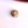 Purple Quahog Pearl 8mm Button 3 carats