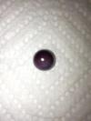 Quahog Pearl approximately 3 carats
