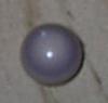 quahog pearl top view
