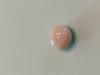 Quahog Pearl 6+ carats Perfect Button
