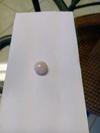 Quahog Pearl 6+ carats Perfect Button