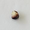 Quahog Pearl Baroque Purple & Beige 7mm 1+ carats