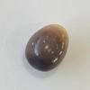 Quahog Pearl Egg Shape 9+ carats Multi-colored