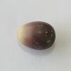 Quahog Pearl Egg Shape 9+ carats Multi-colored