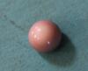 11mm quahog pearl