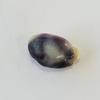 Quahog pearl Purple with White 2+ carats 10mm Baroque