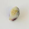 Quahog pearl Purple with White 2+ carats 10mm Baroque