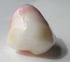 19 carat conch pearl