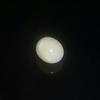 Rare Clam Pearl 3.7 ct With Flame