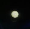 Rare Clam Pearl 3.7 ct With Flame