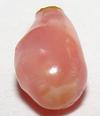 Rare Conch Pearl 1 Carat