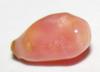 Rare Conch Pearl 1 Carat